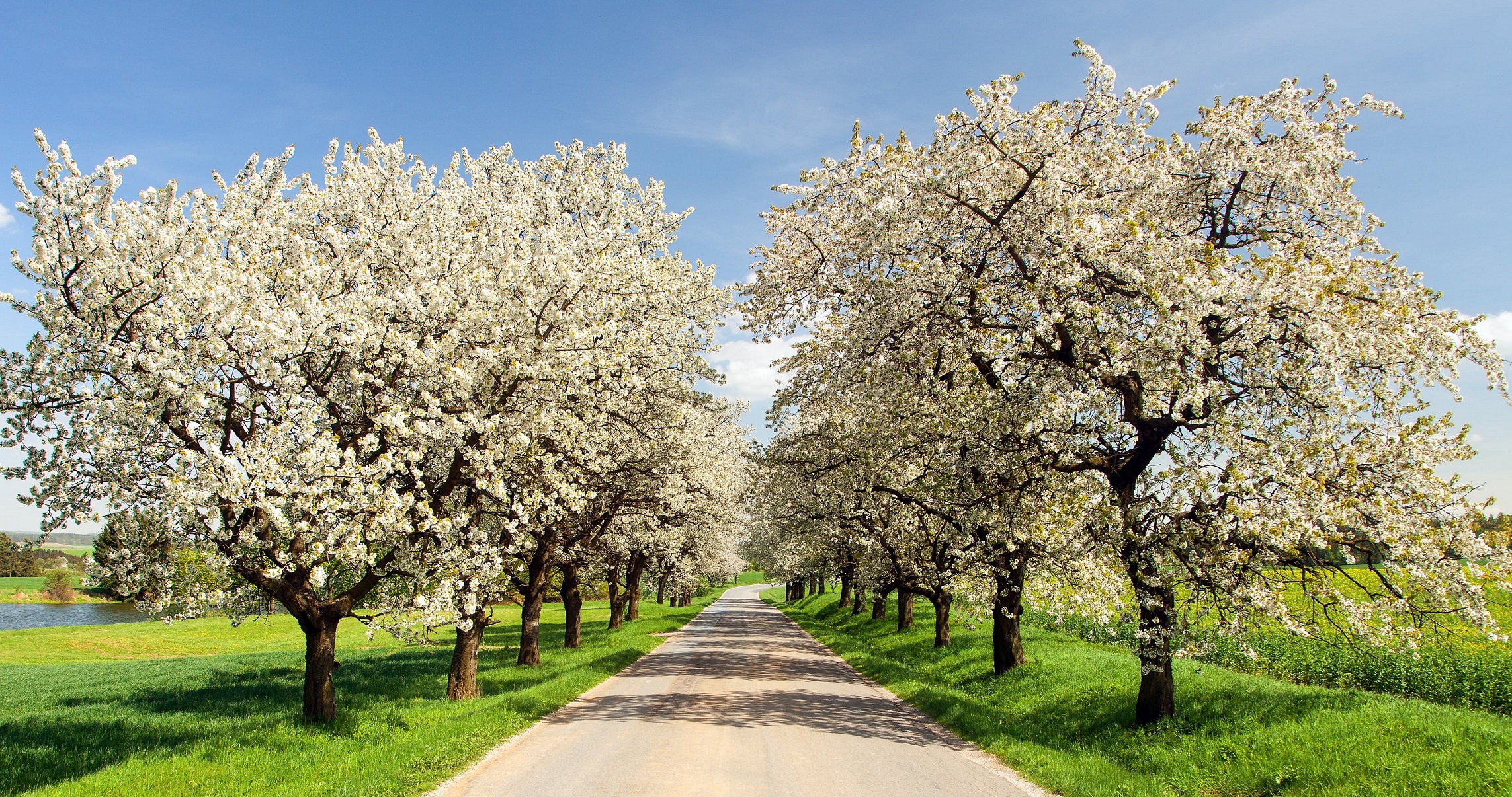 Wiosna na drodze — na co musisz uważać?