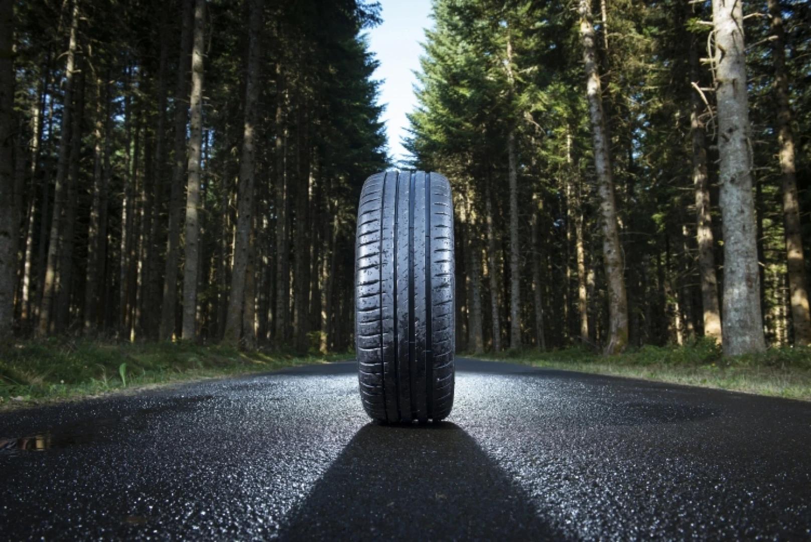 255/40R20 opona MICHELIN PILOT SPORT 4S XL FR 101Y